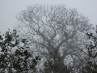 nte Fontane-201011107 070